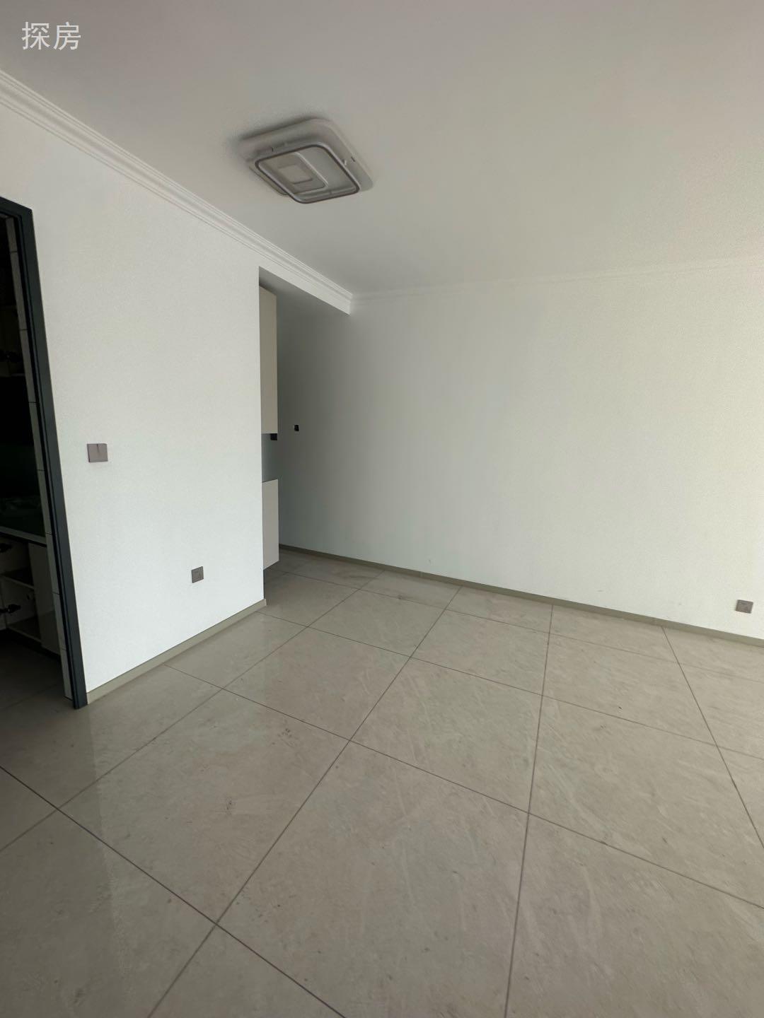 实拍图