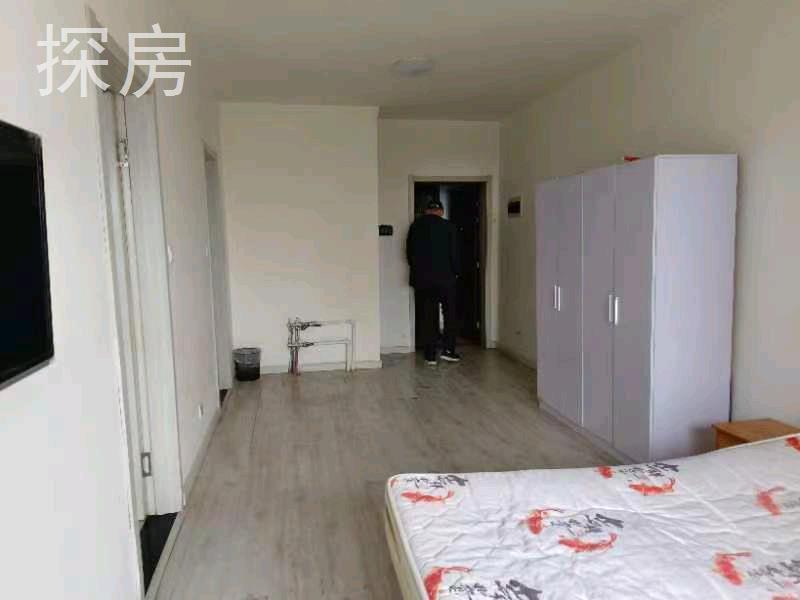 实拍图