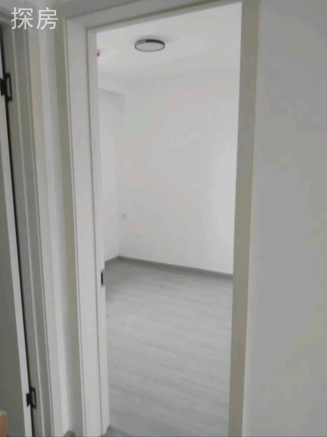 实拍图