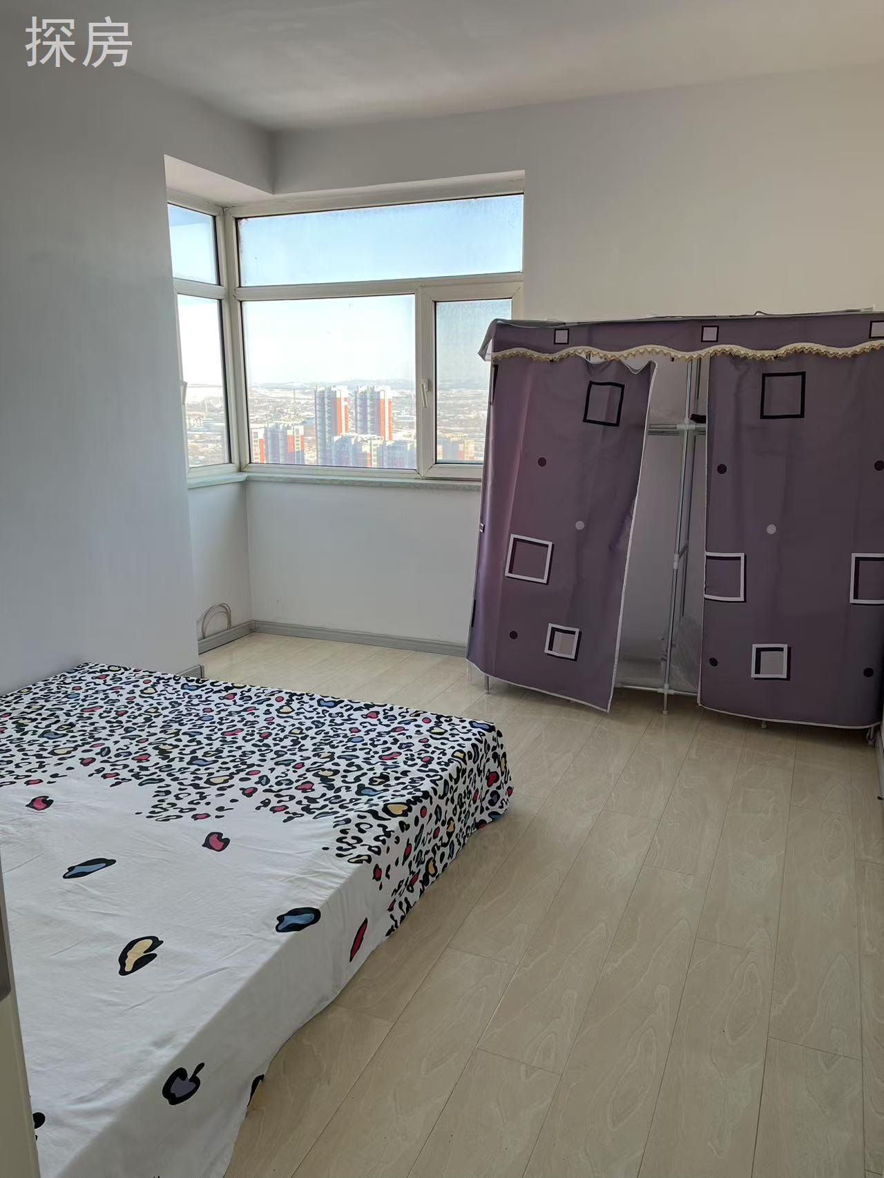 实拍图