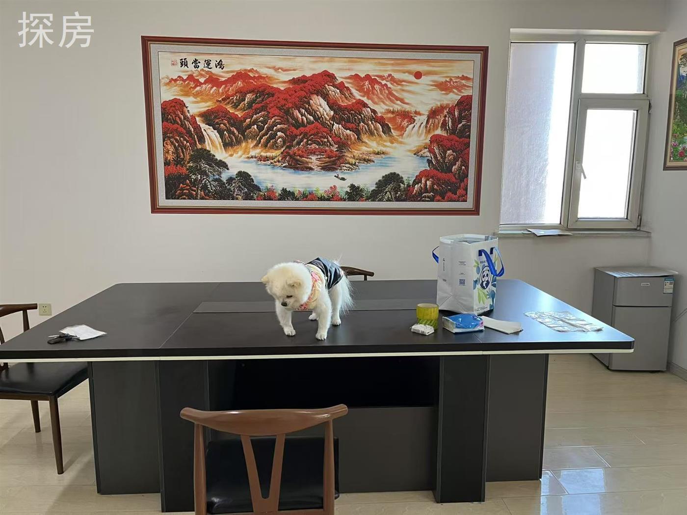 实拍图