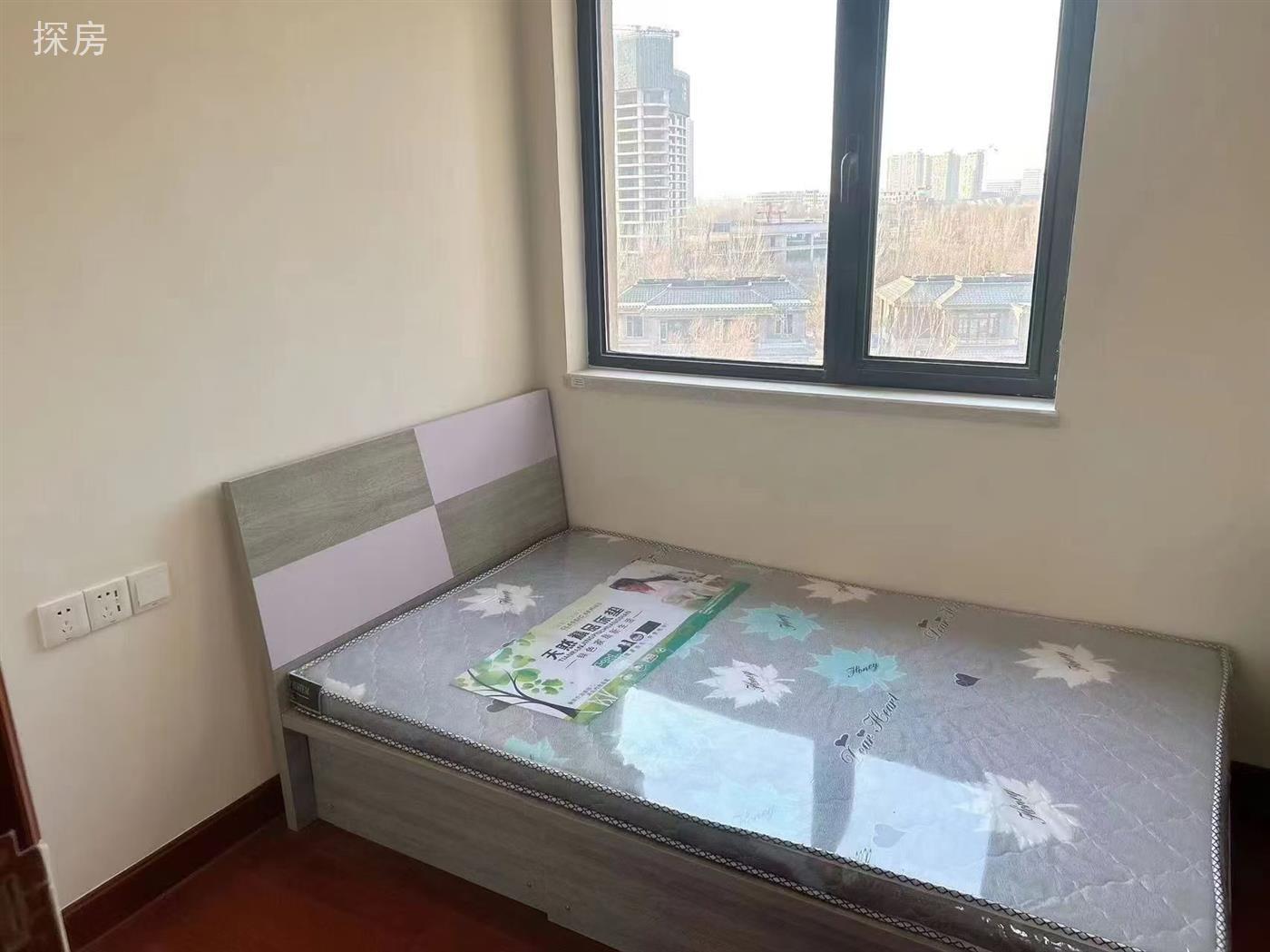实拍图