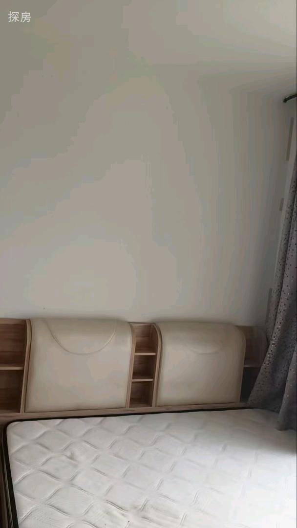 实拍图